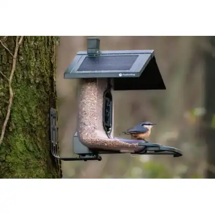 FeatherSnap smart bird feeder: Jake Cohen photography