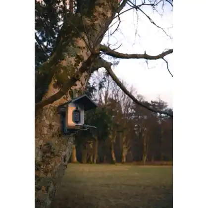 FeatherSnap smart bird feeder: Zac Wright photography