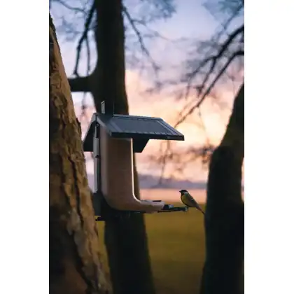 FeatherSnap smart bird feeder: Zac Wright photography