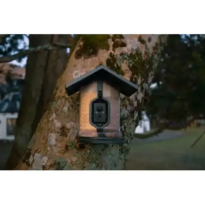 FeatherSnap smart bird feeder: Zac Wright photography