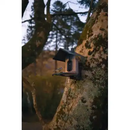 FeatherSnap smart bird feeder: Zac Wright photography