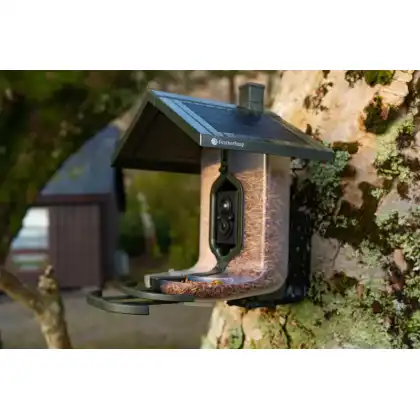 FeatherSnap smart bird feeder: Zac Wright photography