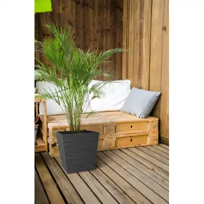 Cello Planter by Primeur
