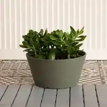 Octavia Planter by Primeur