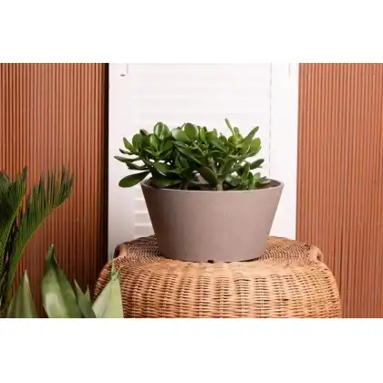 Octavia Planter by Primeur