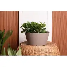 Octavia Planter by Primeur