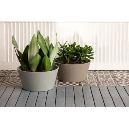 Octavia Planter by Primeur