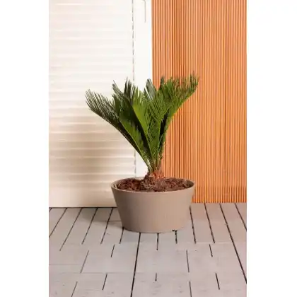 Octavia Planter by Primeur