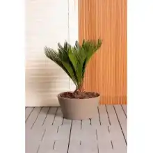 Octavia Planter by Primeur