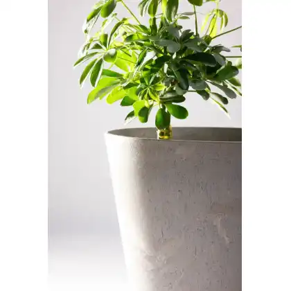 Octavia Planter by Primeur