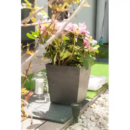 Self-Watering Sonata Planter by Primeur