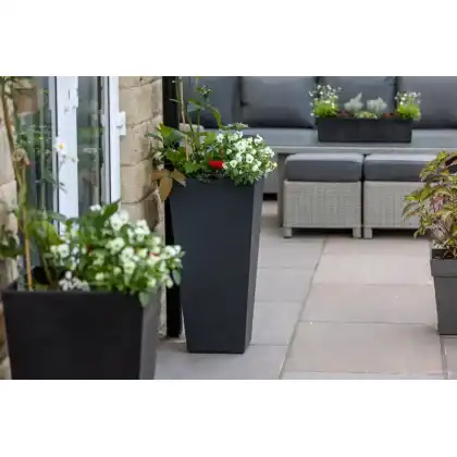 Self-Watering Sonata Planter by Primeur