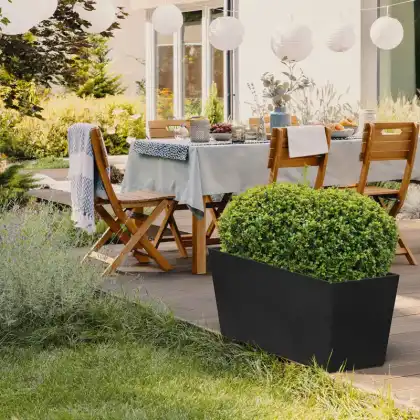 Sonata Trough Planter by Primeur