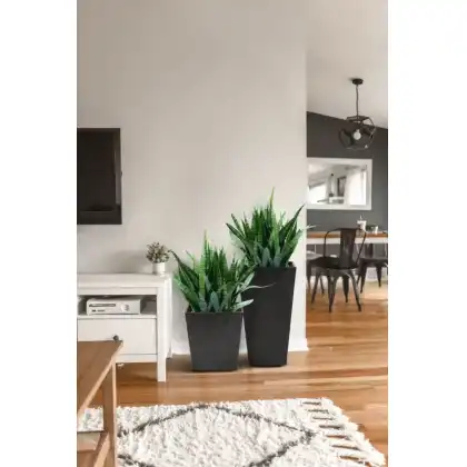 Self-Watering Sonata Planter by Primeur