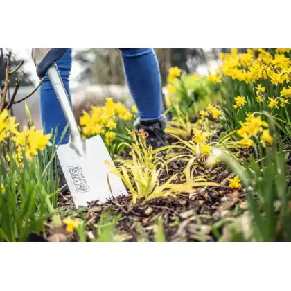 Stainless Steel Border Spade 