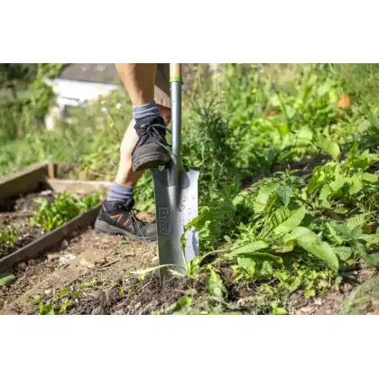 Carbon Steel Planting Spade