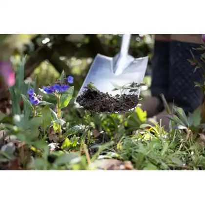 Stainless Steel Border Spade 