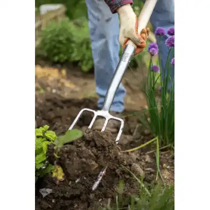 Stainless Steel Border Fork 