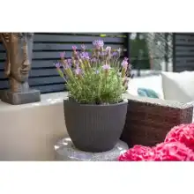 Sustainable Apta Lightweight Planters