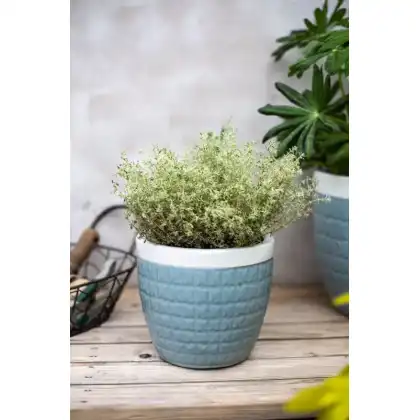 Apta Evora Two-Toned Planter