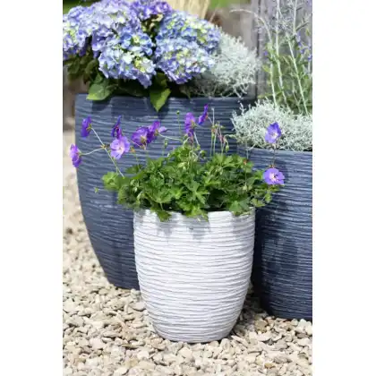 Apta Layer Egg Pot Planter