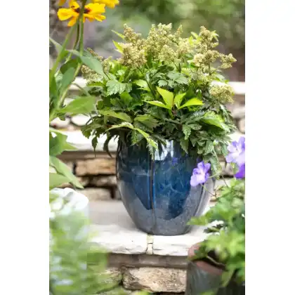 Apta Glazed Linnea Planter