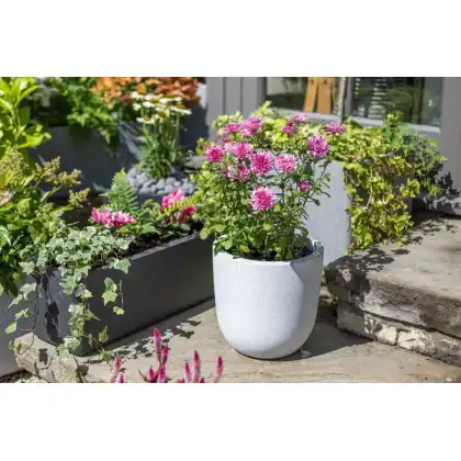 Apta Granito Planter