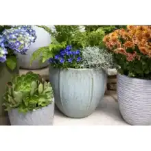 Apta Glazed Planters