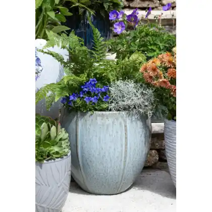 Apta Glazed Linnea Planter