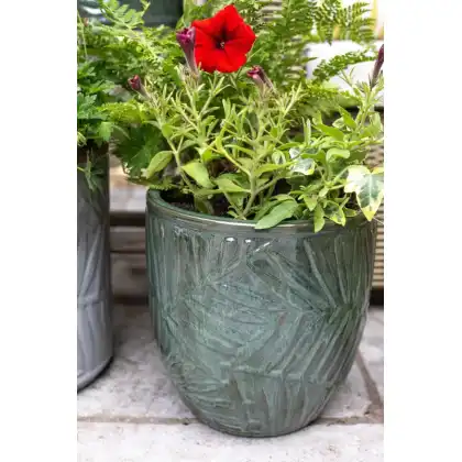 Apta Palm Egg Pot Glazed Planter