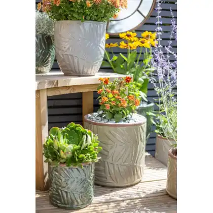 Apta Palm Cyclinder Glazed Planter