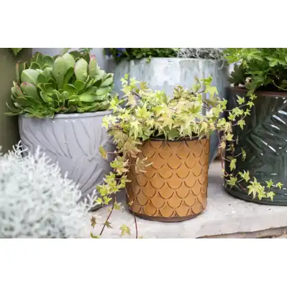 Apta Siren Cylinder Glazed Planter