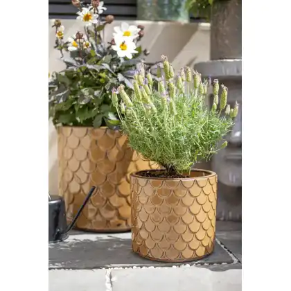 Apta Siren Cylinder Glazed Planter