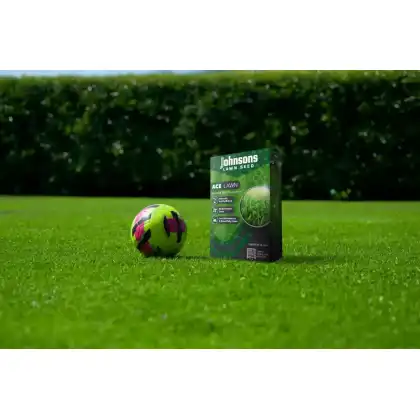 Johnsons Lawn Seed ACE Lawn
