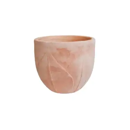 Ivyline 2024 Vase & Planter Collection