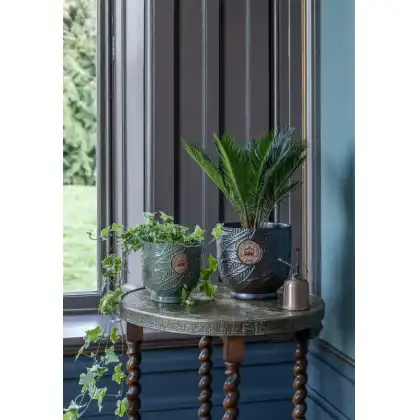 Ivyline 2024 Kew Licensed Planters