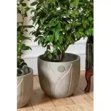 Ivyline 2024 Kew Licensed Planter