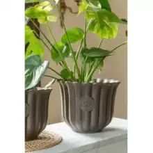 Ivyline 2024 Kew Licensed Planter