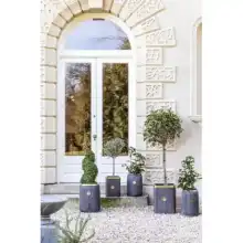 Ivyline 2024 Kew Licensed Planters