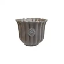 Ivyline 2024 Kew Licensed Planters