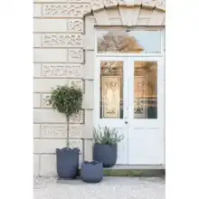 Ivyline 2024 Kew Licensed Planters