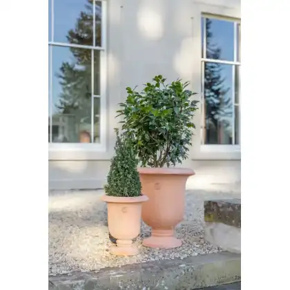 Ivyline 2024 Kew Licensed Planters