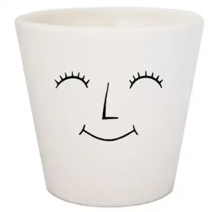 Smiley face miniature planter from Ivyline