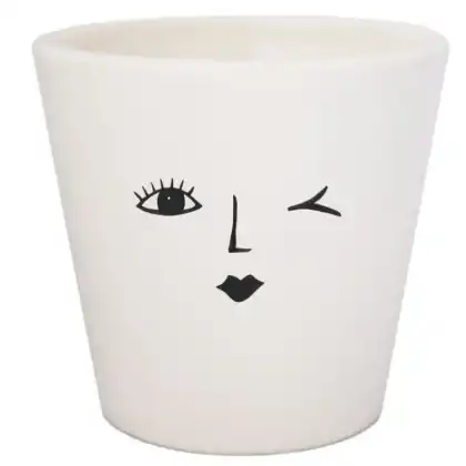 Smiley face miniature planter from Ivyline