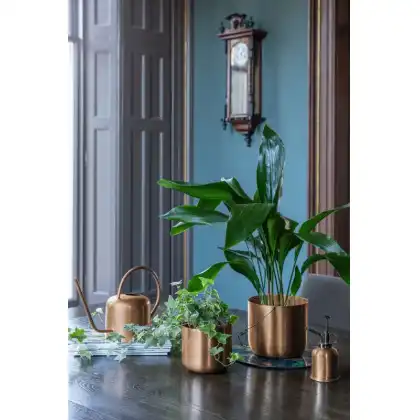 Ivyline 2024 Kew Licensed Planters