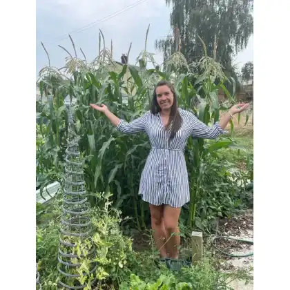 RocketGro Ambassador Steph Young
