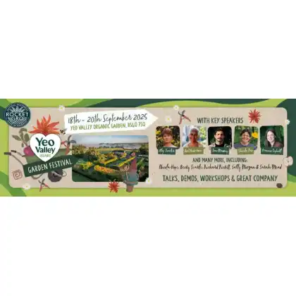 Letterhead 3