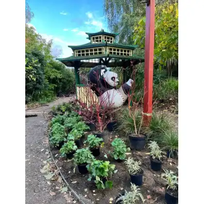 Greenfingers Charity: Demelza House, Sittingbourne