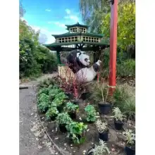 Greenfingers Charity: Demelza House, Sittingbourne