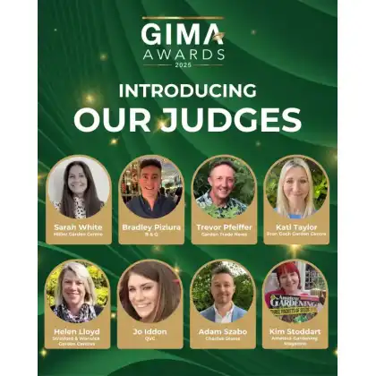 judges